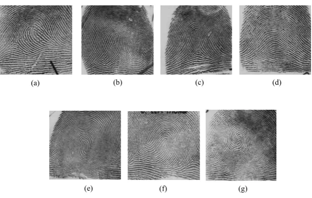 Fig. 1.  One-level decomposition for the NIST-4 fingerprint: (a) D4, (b) GHM. 