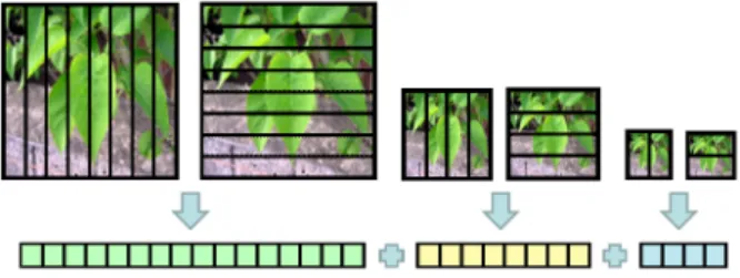 Fig. 1. Contribution of each resolution image to the image representation
