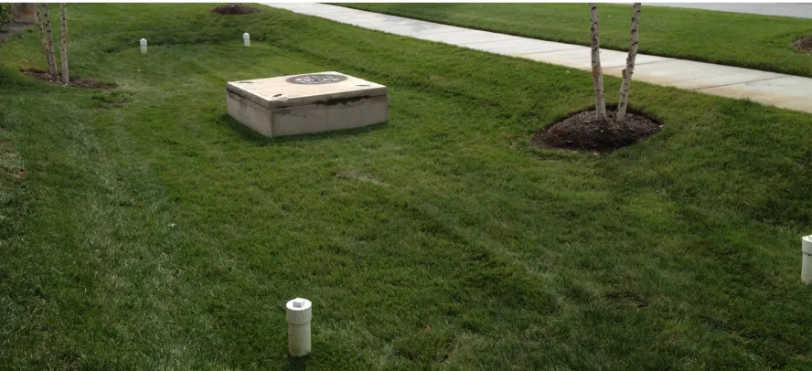 Figure 1.2: A grassed bioretention cell in Raleigh, NC 