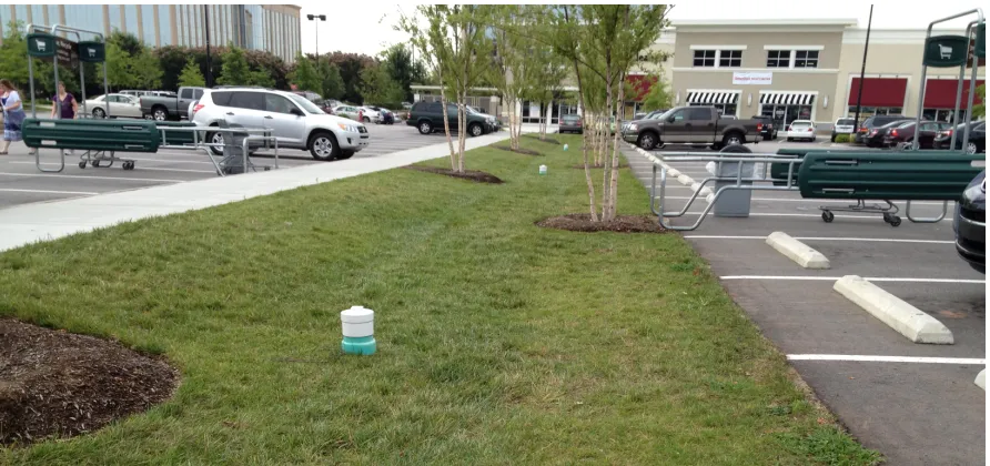 Figure 1.3: A grassed swale in Raleigh, NC 