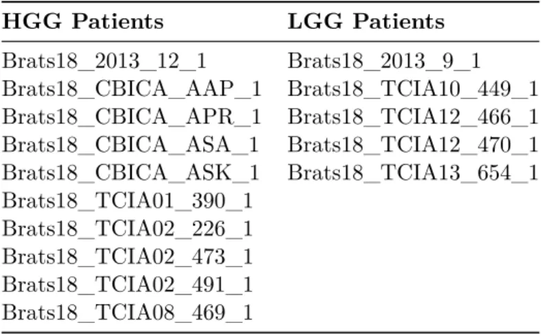 Table 2.1: Patient images used for testing from BraTS2018 HGG and LGG cohorts. HGG Patients LGG Patients Brats18_2013_12_1 Brats18_2013_9_1 Brats18_CBICA_AAP_1 Brats18_TCIA10_449_1 Brats18_CBICA_APR_1 Brats18_TCIA12_466_1 Brats18_CBICA_ASA_1 Brats18_TCIA12