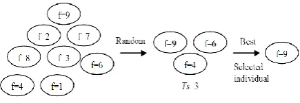 Fig. 2. Selection strategy with tournament mechanism  
