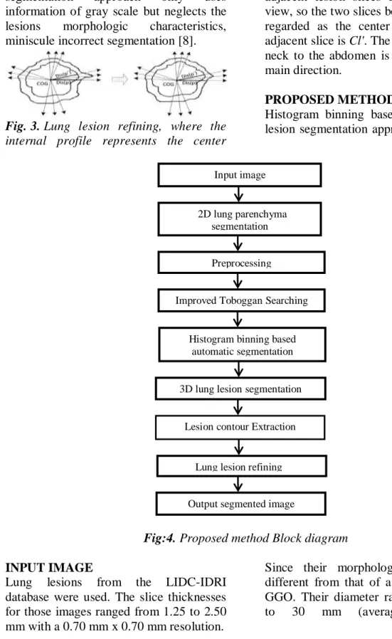 Fig. 3. Lung  lesion  refining,  where  the  internal  profile  represents  the  center 