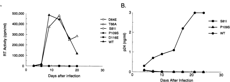 FIG. 3.contributedmediumHIV-1aliquot Replication of wild-type (WT) and integrase mutant viruses in human SupTl cells