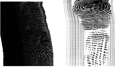 Fig.1    Examples of Bad Image Quality 