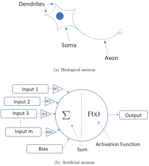 Figure 3.1 Biological and artificial neuron