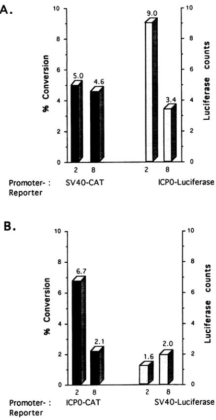 FIG. 8.isoleucine-deprived CAT expression cells. Experiments