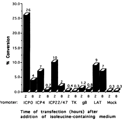 TABLE 2. Induction of CAT expression from wild-type and mutantICPO promoter test plasmids in growth-arrested NB41A3 cellsafter addition of isoleucine-containing medium