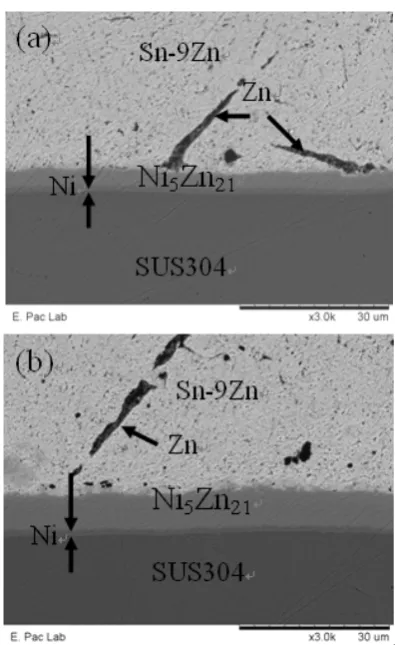 Figure 1(a) shows the backscattered electron image 