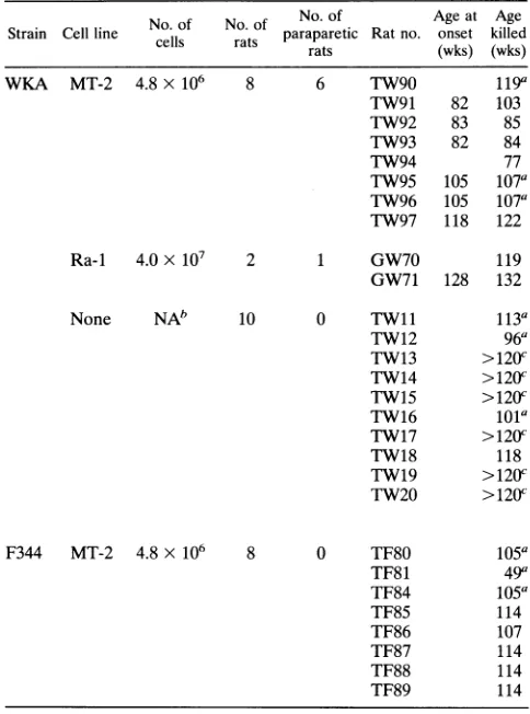 TABLE 1. Rats with spastic paraparesis after injectionwith HTLV-1-producing T-cell lines