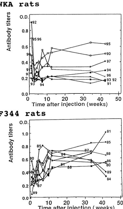FIG. 3.inELISA.80 WKA through Antibody response against HTLV-1 envelope protein N147 and F344 rats injected with MT-2 cells, as determined by O.D., optical density at 492 nm