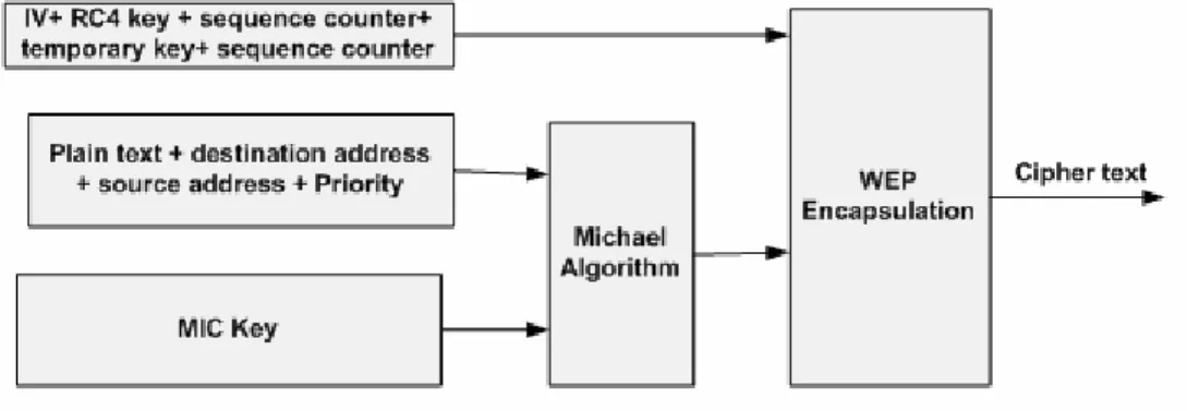 Fig. 2. WPA algorithm. 