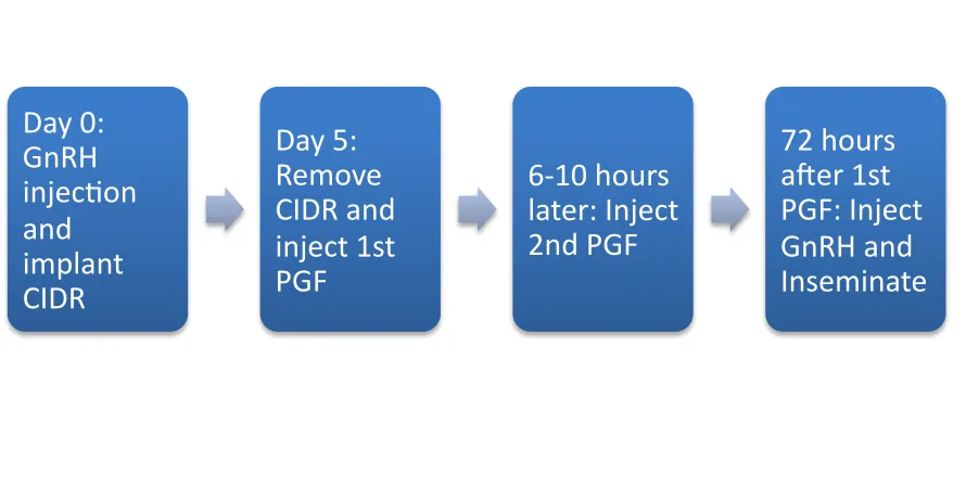 Figure 1: 5-day CIDR estrous synchronization protocol. CIDR was inserted vaginally 