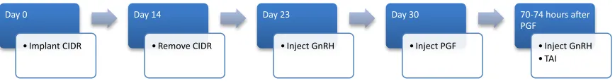 Figure 2: 14-day CIDR Select estrous synchronization protocol. CIDR was inserted 