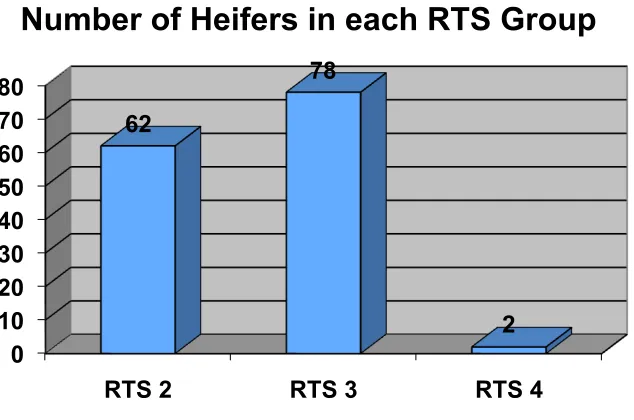 Figure 6: In this study the RTS of the heifers ranged from 2-4. There were 62 heifers 