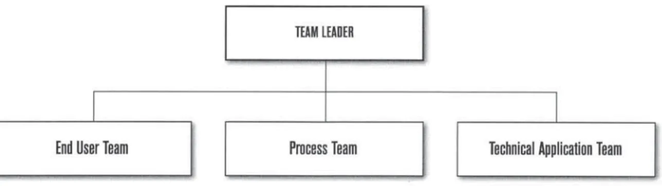 Figure 2.1 – OSS Team Structure 