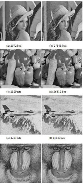 Fig. 7.   Two kinds of methods to embed SH and DH. 