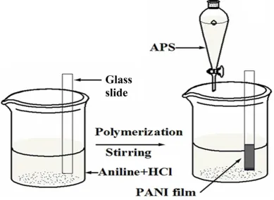 Figure 1: Scheme of in-situ polymerization in the presence of a glass substrate. 