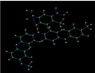 Figure 4: Schematic depiction of hydrogen bonding interactions between PANI and 2, 4- DNT  molecules