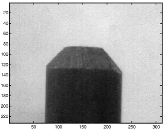 Fig.  3. An image showing a real flat tip.    