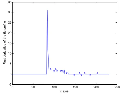 Fig.  10. The first derivative of the tip profile shown in Figure 9.     