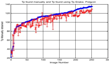Fig. 16. Determining the tip width manually (shown in blue colour) and automatically using snake active contour, minimum perimeter polygon and Cullen et al.’s methods (shown in red)