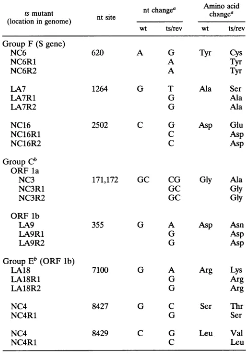 TABLE 3. Nucleotide locations of the MHV A59 ts alleles