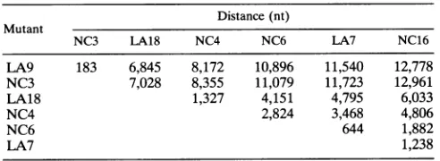 TABLE 5. Recombination frequencies between MHV-A59 ts mutants'