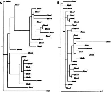 FIG. 3.parsimonyshownindicates6sites; was Phylogenetic analysis of intrapatient sequence sets