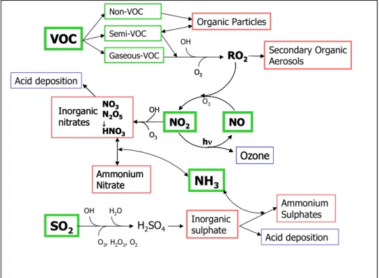 Figure 1: Simplified Secondary Particle Formation Processes