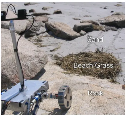 Figure 2-3. TORTOISE on Wingaersheek Beach, showing terrain classes 