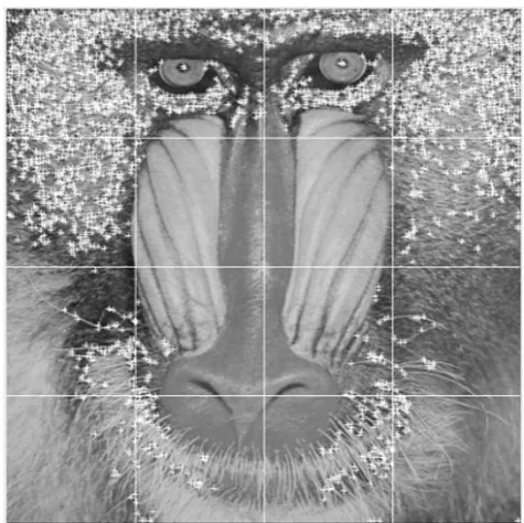 Fig. 9. The locations of Harris corner points for image Baboon.  
