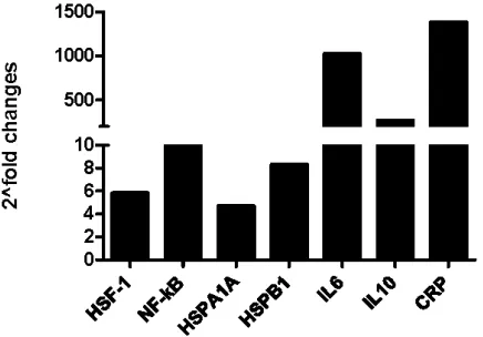 Table 2. Primers used in PCRs.