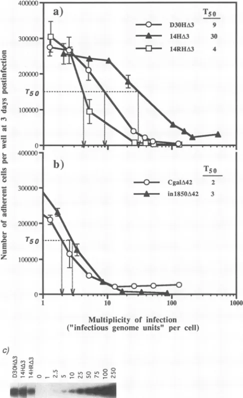 TABLE 2. Infectious genome titer