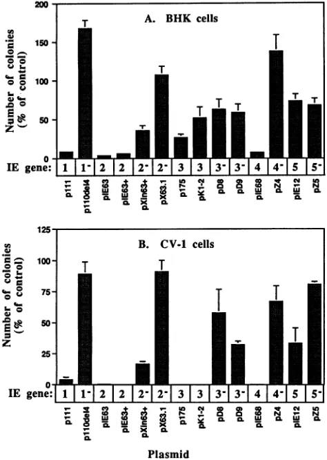 FIG.2.ApproximatelycontrolniespSV2neo.cateCellsquencyCV-1anddilutions Effect of HSV-1 IE gene-carrying plasmids on the fre- of colony formation in cotransfected BHK TK- and CV-1 cells