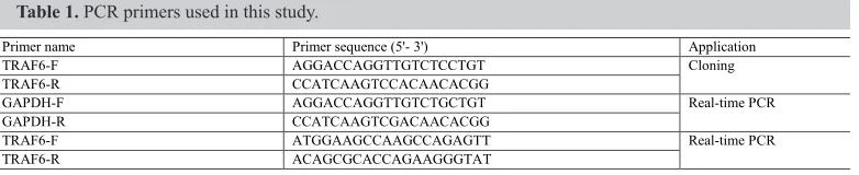 Table 1. PCR primers used in this study.