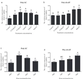 Figure 6. Expression of chTRAF6 in CEFs following poly(I:C) or poly(dA:dT) infection. a