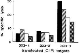 TABLE 1. The SIVmac envelope CTL epitope (residues 306 to 313)is well conserved among macaque and mangabey SIV isolatesa