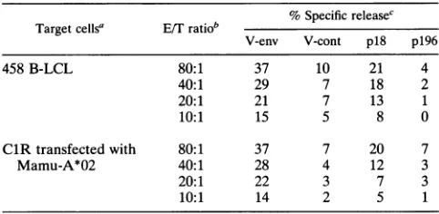 TABLE 2. SIVmac Env p18-pulsed ClR cells transfected withMamu-A*02 are lysed by CTL from rhesus monkey 381