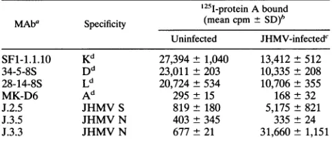 FIG.1.JHMV(D)125I-labeled Expression of MHC class I molecules and JHMV S protein on J774.1 cells during JHMV infection