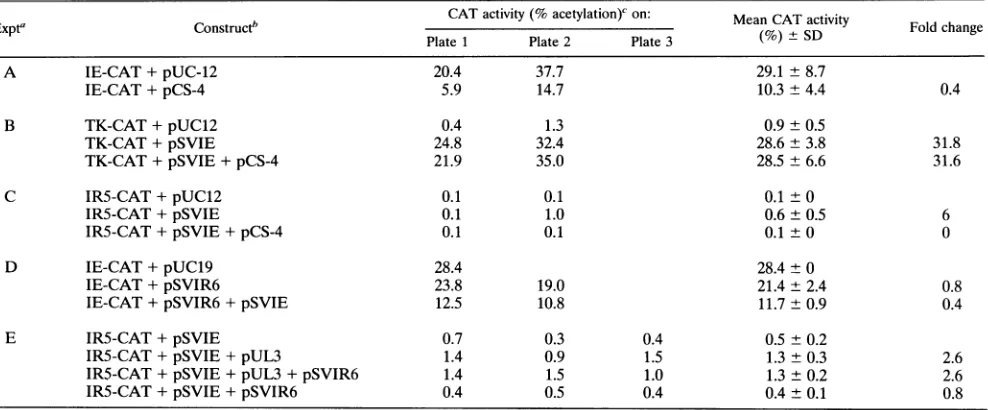 TABLE 1. Effect of IR6 expression on EHV-1 promoter-reporter constructs