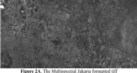 Figure 2B. The Multispectral Jakarta Formatted tiff   For Channel 4 