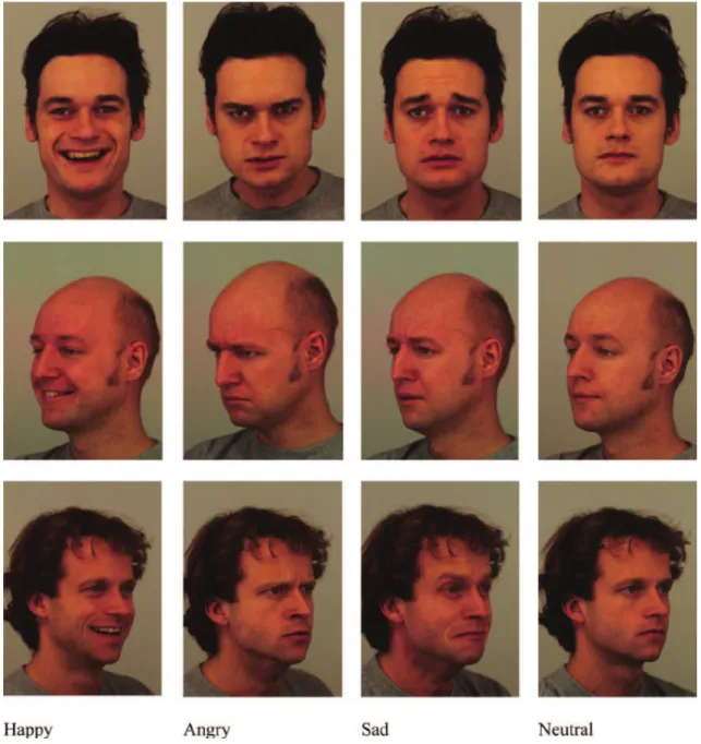 Figure 6.8: Some samples of Karolinska face Database
