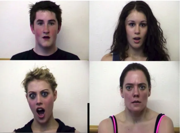 Figure 6.10: Some samples of Pain expressions dataset