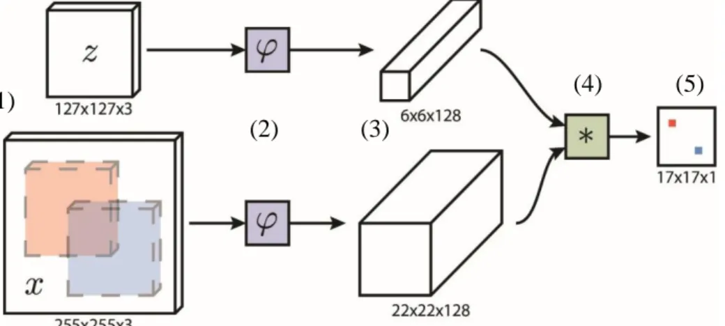 Fig. 4: SiamFC network architecture. (1) input images, (2) embedding function, (3)  image feature maps, (4) cross-correlation layer, (5) resulting score map