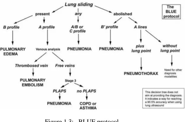 Figure 1.3:   BLUE protocol 