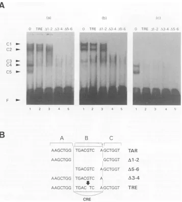 FIG. 4.witholigonucleotide21-bpoligonucleotidein(B)(1(oligonucleotides ,ug/ml) lane Competition experiments with several mutated 21-bp oligonucleotides