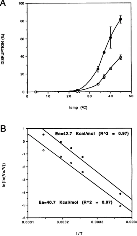 FIG.1.sedimentedsICAM-1labeled Effect of sICAM-1 on virus sedimentation. [3H]leucine- HRV-3 was incubated with the indicated concentration of for 30 min at 37°C in PIPES buffer (pH 7.0)-5% FCS and through a 5 to 30% sucrose gradient.