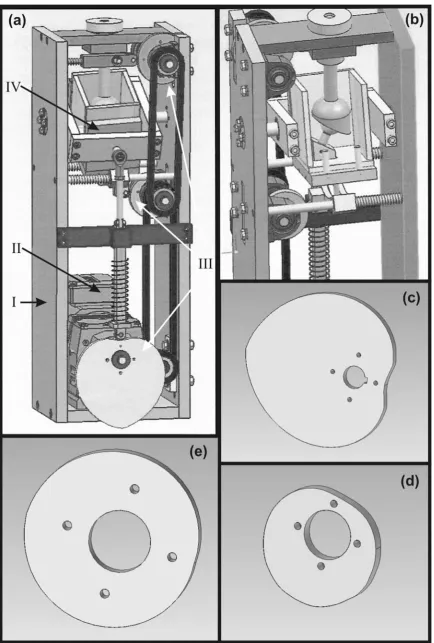 Fig. 3: Hip Joint simulator (a) the whole machine divided in (I) main body, (II) electrical motor, (III) eccentric sheaves and (IV) tank