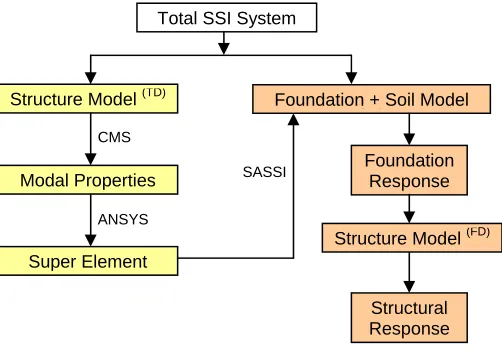 Fig 2 – Flow Diagram of CMS-Based SSI Analysis 